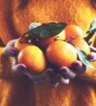 7 הפירות הכי בריאים של החורף-תמונה